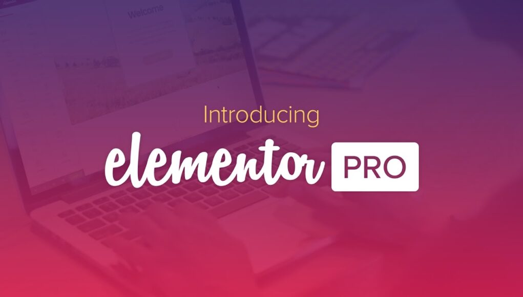 Free Download Elementor PRO v3.18.2