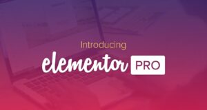 Free Download Elementor PRO v3.18.2
